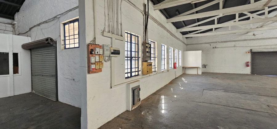 To Let commercial Property for Rent in Arcadia Eastern Cape